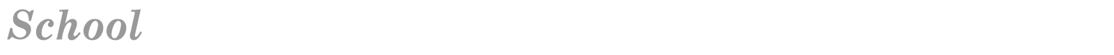School font preview